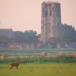 De Dierenweiden Apartment *