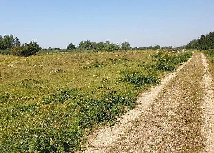 Daire De Dierenweiden Goedereede